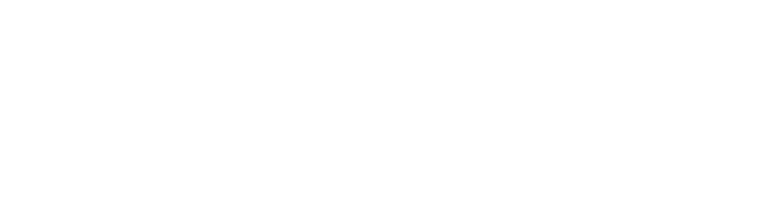 Carnegie Mellon University Libraries